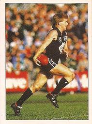 1990 Select AFL Stickers #33 Adrian Gleeson Front